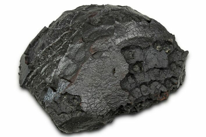 Dragon Scale Stone (Iron, Manganese, Siderite Nodule) #330328